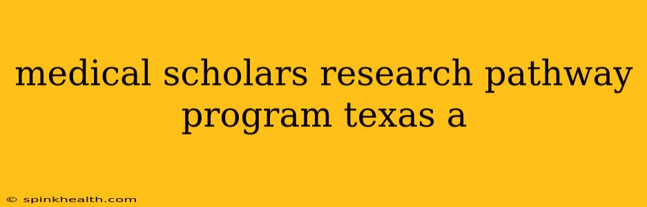 medical scholars research pathway program texas a