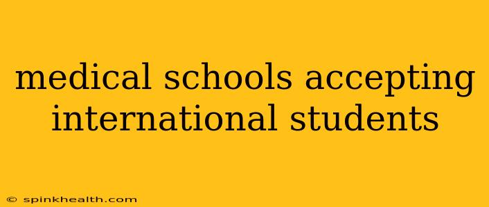 medical schools accepting international students