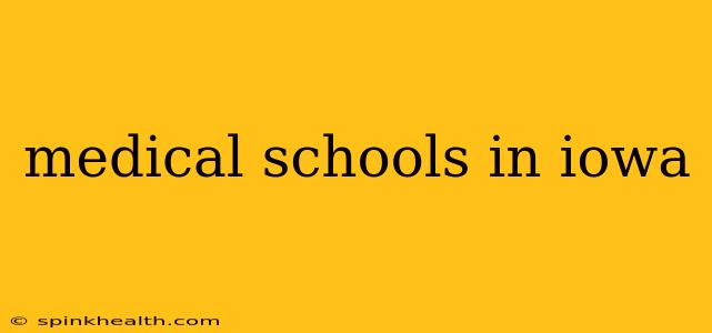 medical schools in iowa