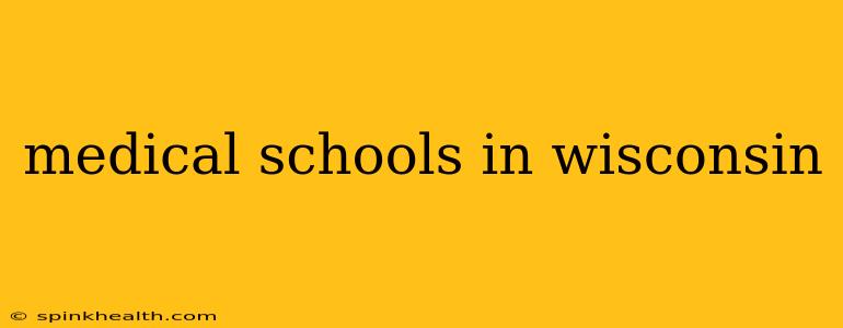 medical schools in wisconsin