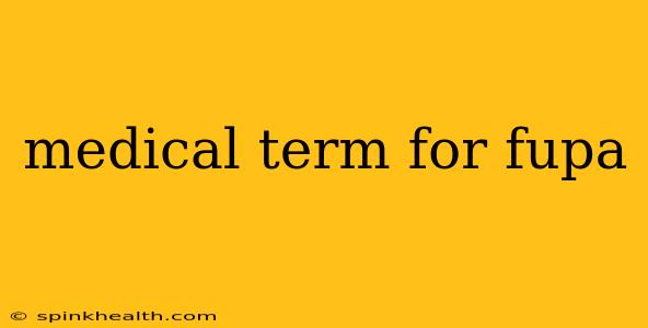 medical term for fupa