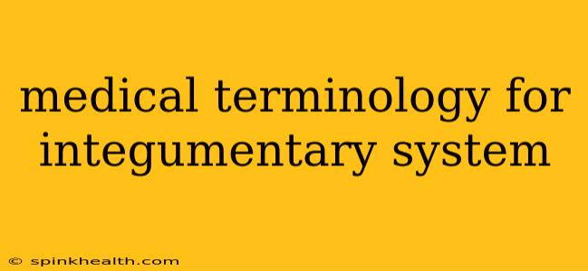 medical terminology for integumentary system