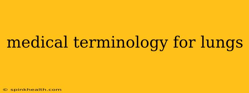 medical terminology for lungs