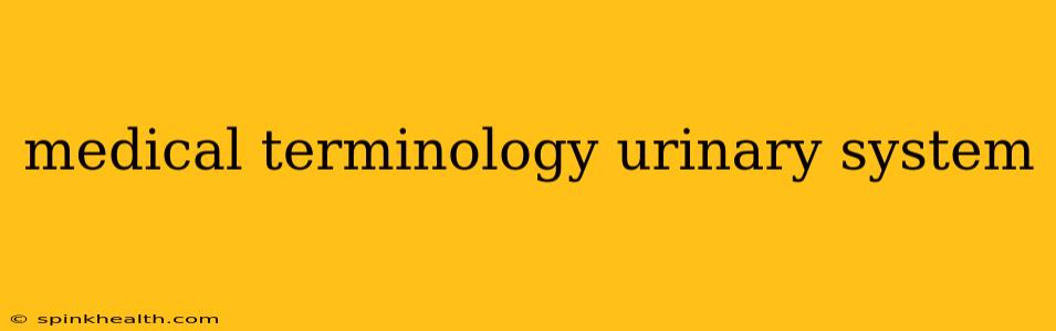 medical terminology urinary system