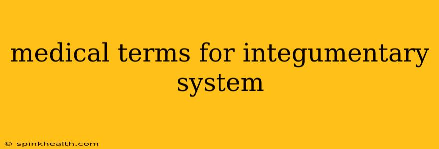 medical terms for integumentary system