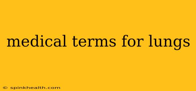 medical terms for lungs