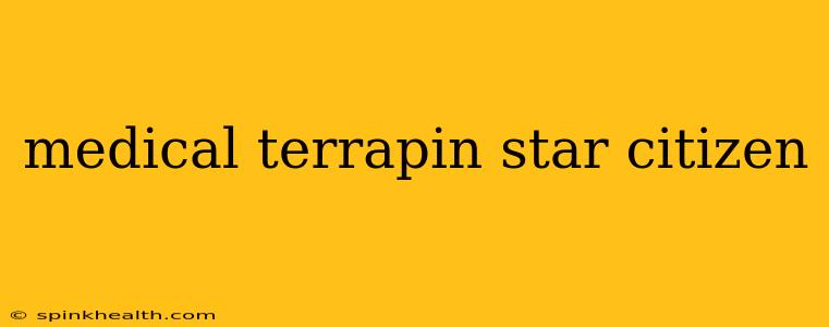 medical terrapin star citizen