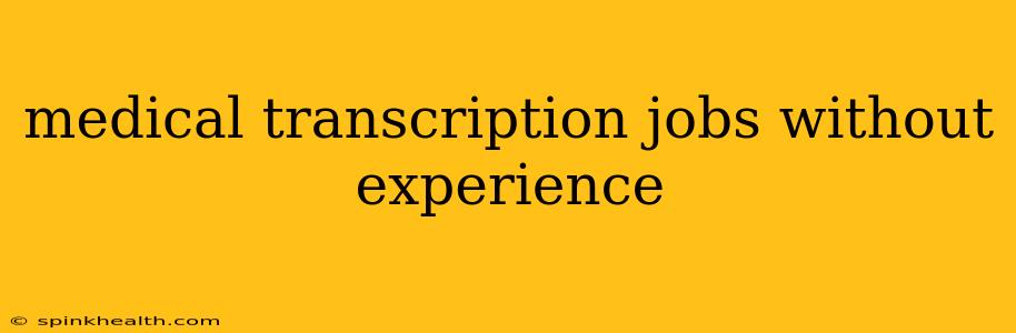 medical transcription jobs without experience