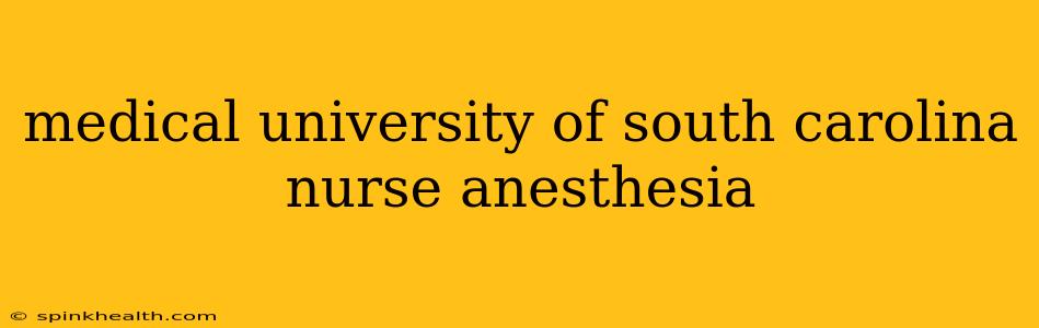 medical university of south carolina nurse anesthesia
