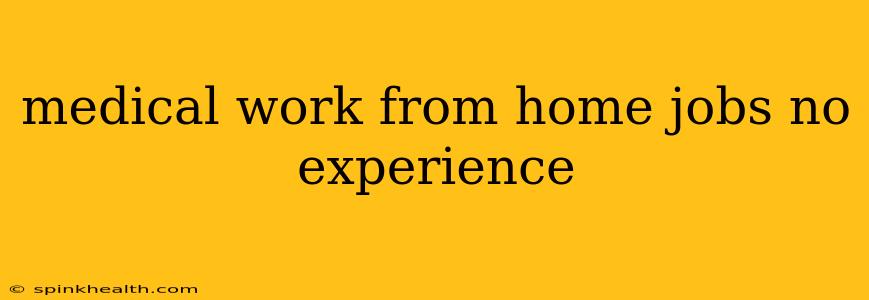 medical work from home jobs no experience