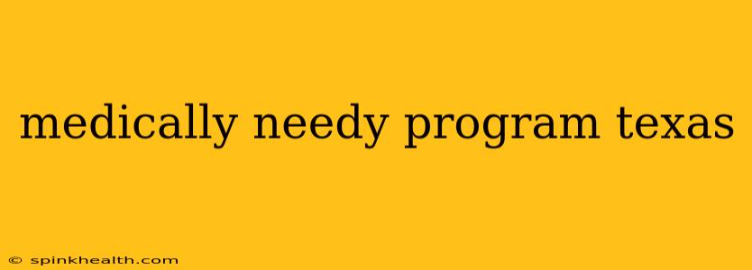 medically needy program texas