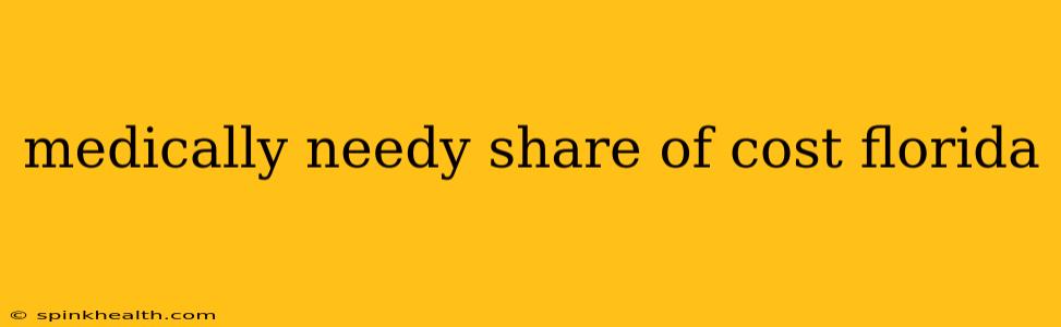 medically needy share of cost florida