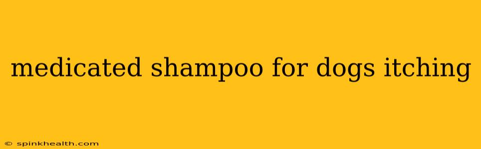 medicated shampoo for dogs itching
