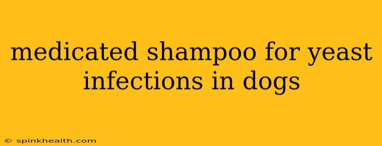 medicated shampoo for yeast infections in dogs