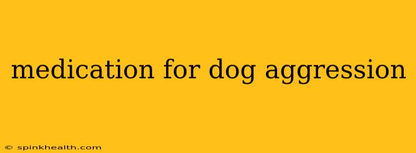 medication for dog aggression