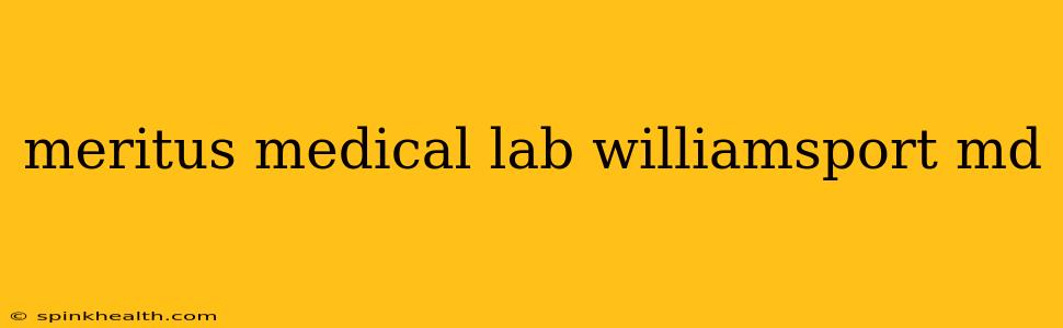 meritus medical lab williamsport md