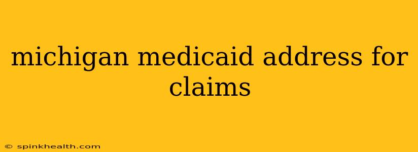 michigan medicaid address for claims