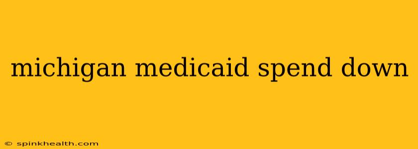 michigan medicaid spend down