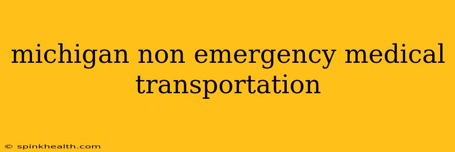 michigan non emergency medical transportation