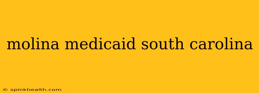 molina medicaid south carolina