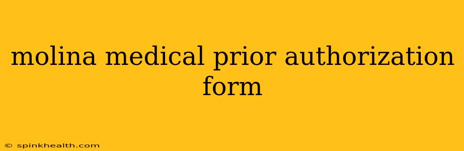molina medical prior authorization form