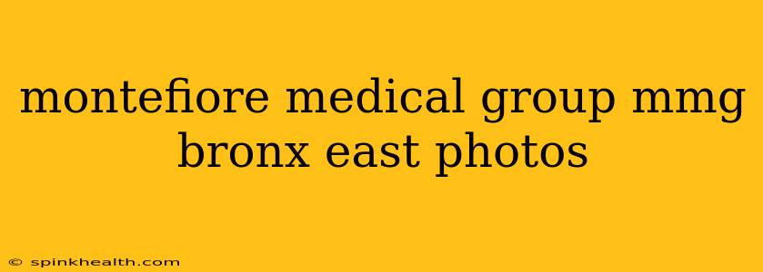 montefiore medical group mmg bronx east photos