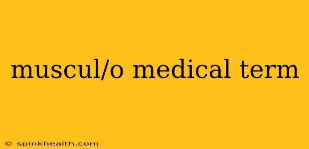 muscul/o medical term
