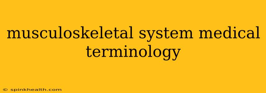 musculoskeletal system medical terminology