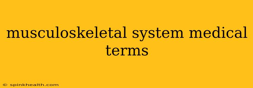 musculoskeletal system medical terms