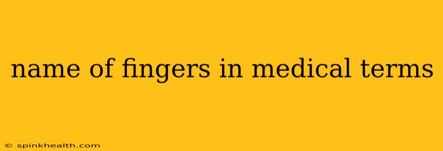 name of fingers in medical terms