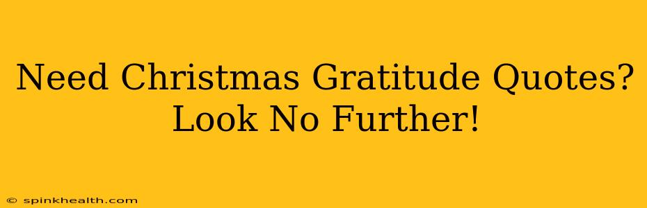 Need Christmas Gratitude Quotes? Look No Further!