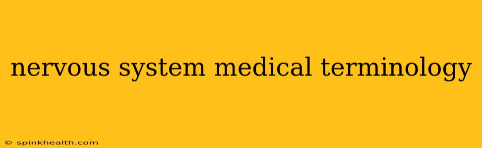 nervous system medical terminology