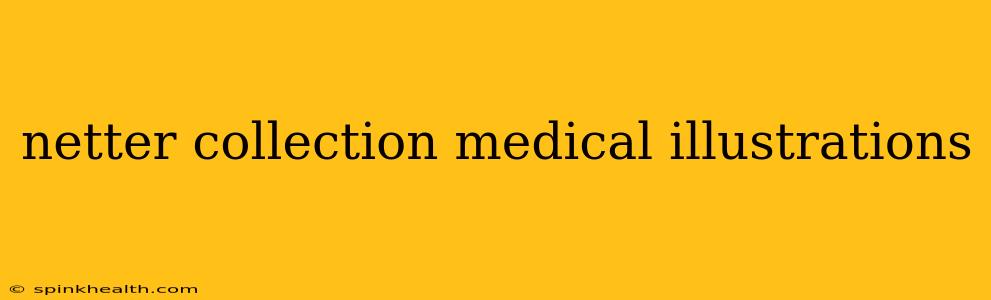 netter collection medical illustrations