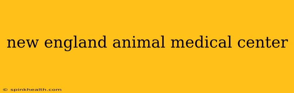 new england animal medical center
