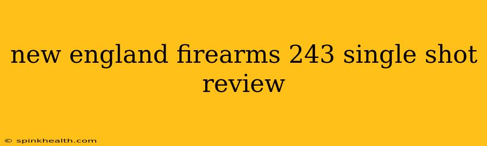 new england firearms 243 single shot review