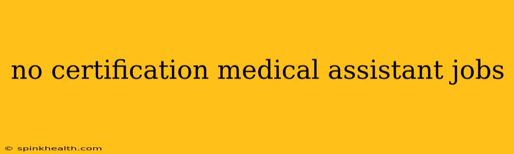 no certification medical assistant jobs