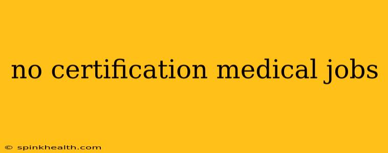 no certification medical jobs
