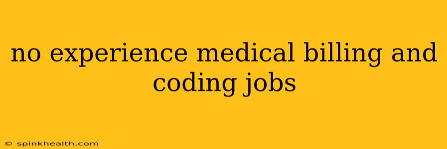 no experience medical billing and coding jobs