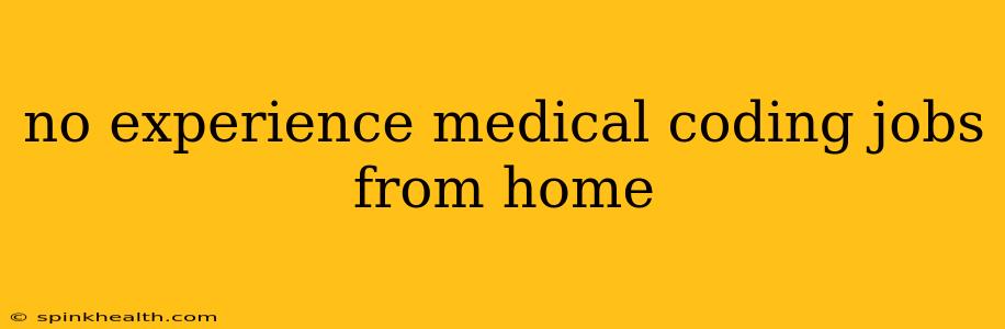 no experience medical coding jobs from home