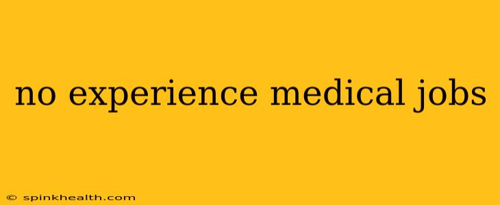 no experience medical jobs