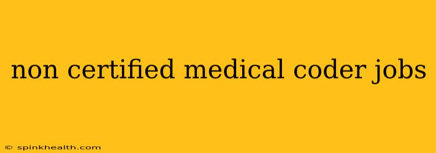 non certified medical coder jobs