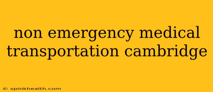 non emergency medical transportation cambridge