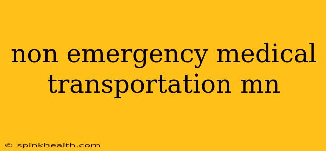 non emergency medical transportation mn