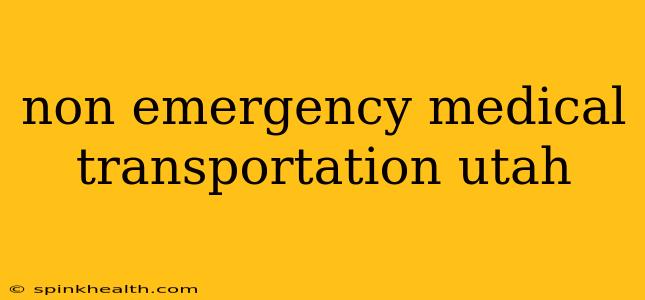 non emergency medical transportation utah