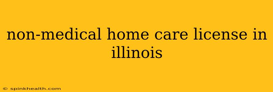 non-medical home care license in illinois