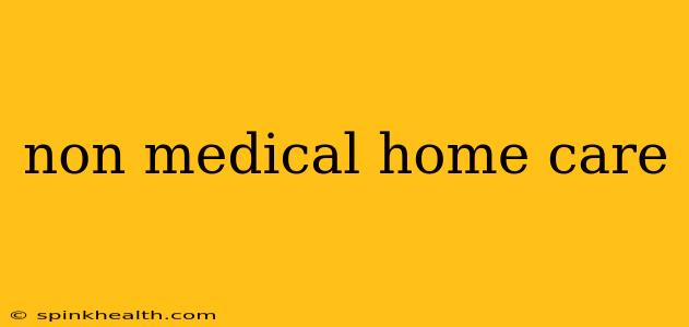 non medical home care