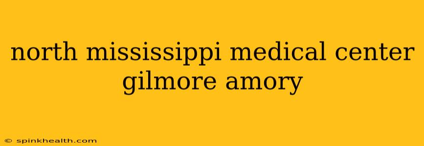 north mississippi medical center gilmore amory