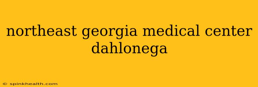 northeast georgia medical center dahlonega