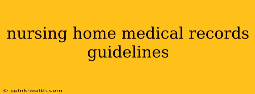 nursing home medical records guidelines