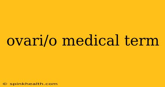 ovari/o medical term